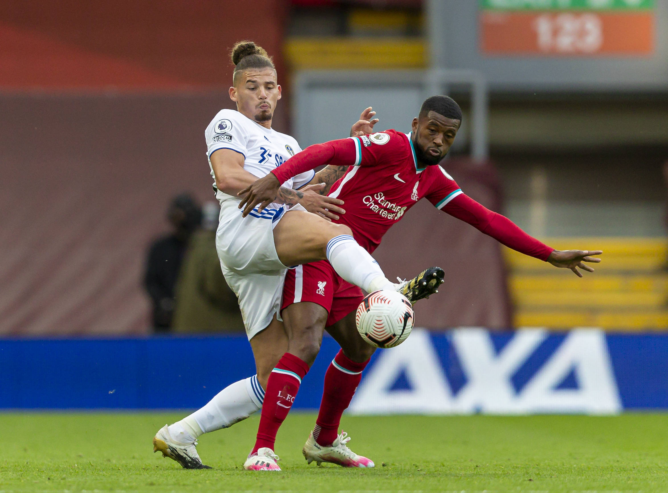 这种成熟的 这种成熟的